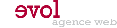 revolution agence web